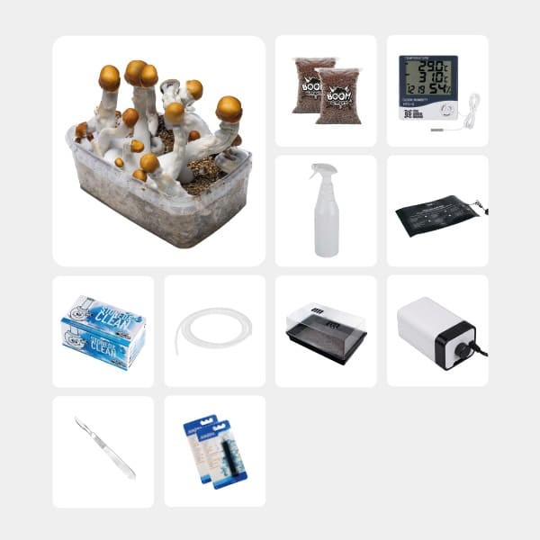 Kit Completo para Estudos Micológicos
