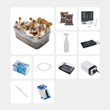 Kit Completo para Estudos Micológicos