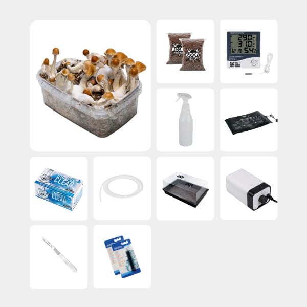 Kit Completo para Estudos Micológicos