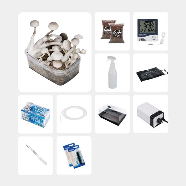 Kit Completo para Estudos Micológicos