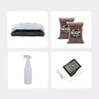 Kit Económico para cultivo de cogumelos