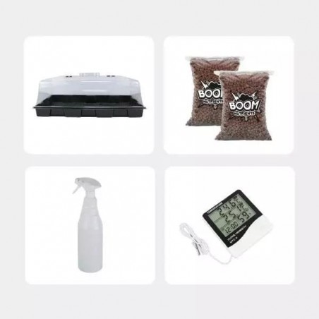 Kit Económico para cultivo de cogumelos