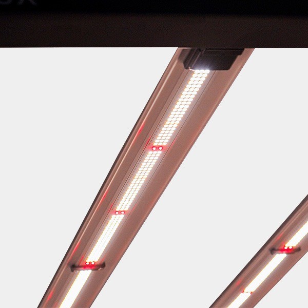Comprar Galaxy Solux LED System - GB The Green Brand