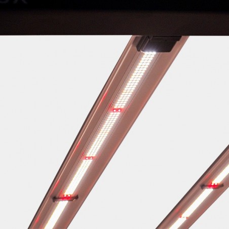 Comprar Galaxy Solux LED System - GB The Green Brand