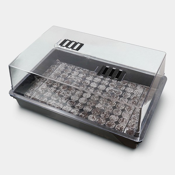 Kit Propagador + Bandeja para plugs de 104 células