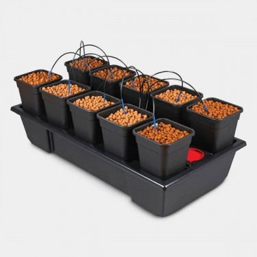 Wilma 10 completa Macetas 6L hidroponia - GB The Green Brand