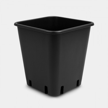 Vasos para Wilma