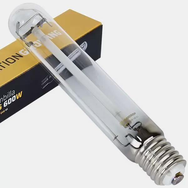 Comprar 600W HPS Evo bulbo - GB A marca verde