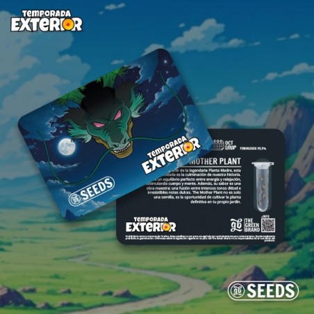 The Mother Plant (Edição Limitada de Sementes) 🌱 | GB The Green Brand