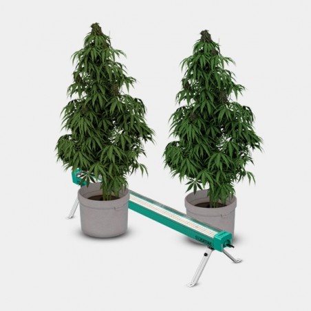 LED Under Canopy 120W PRO GB Lighting detalhe plantas funcionamento