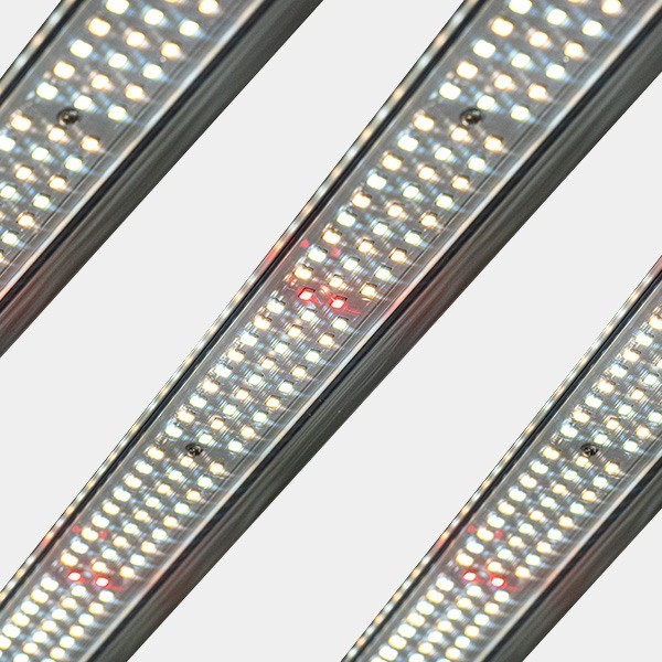 Sistema LED Regulável 720W PRO MAX GB Lighting detalhe LED