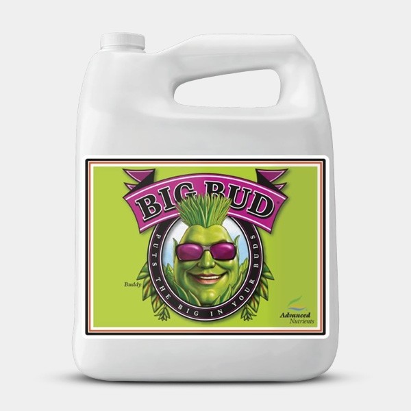 Big Bud Advanced Nutrients formato grande