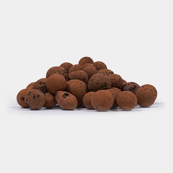 ▷✅ Bolas de argila expandidas - GB The Green Brand