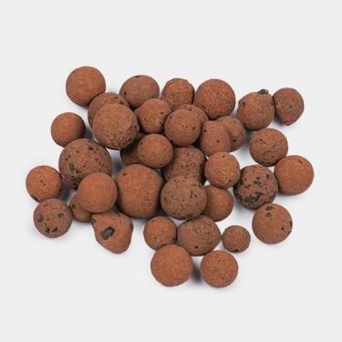 ▷✅ Bolas de argila expandidas - GB The Green Brand