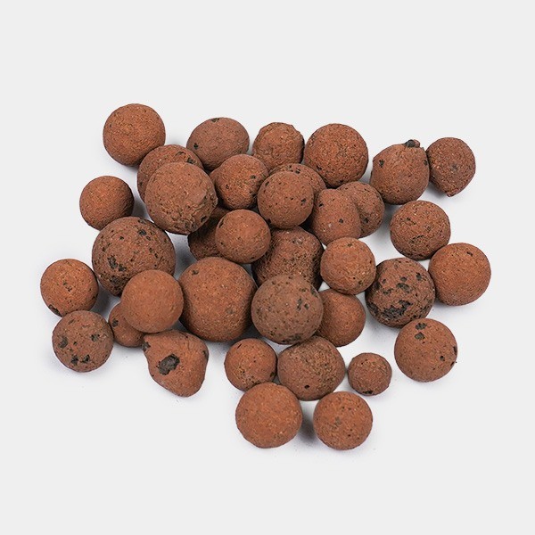 ▷✅ Bolas de argila expandidas - GB The Green Brand