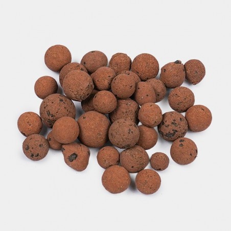 ▷✅ Bolas de argila expandidas - GB The Green Brand