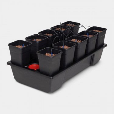 Wilma 10 completa Macetas 6L hidroponia - GB The Green Brand