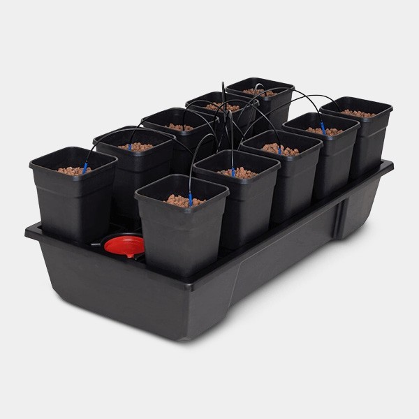 Wilma 10 completa Macetas 6L hidroponia - GB The Green Brand
