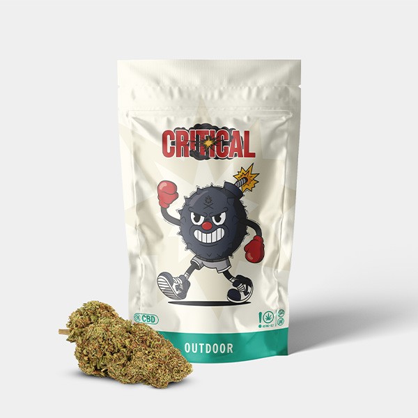View Flores CBD GB Outdoor Critical + - GB The Green Brand
