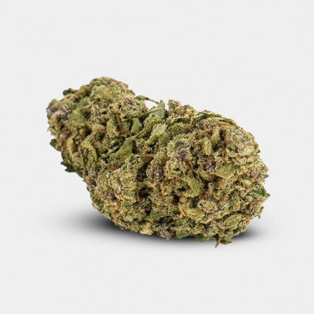 Flores CBD GB Indoor 'Miracle Alien Cookies' flor