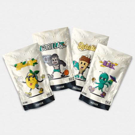 Kit Sommelier Indoor Flores CBD GB - GB The Green Brand