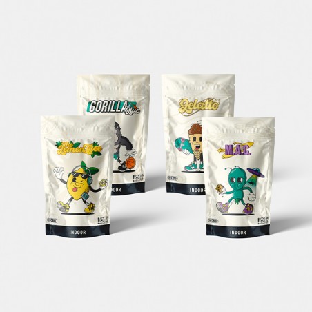 Kit Sommelier Indoor Flores CBD GB - GB The Green Brand