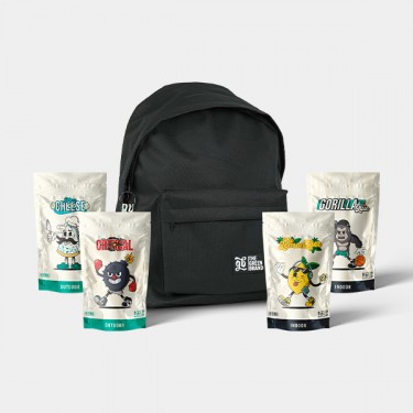Kit Mad Holidays - GB The Green Brand