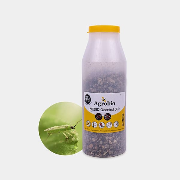 View Nesidio Control Mosca-branca ➤ Percevejo predador| GB