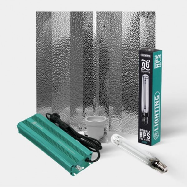 Kit de cultivo interior de 600 W sem armário