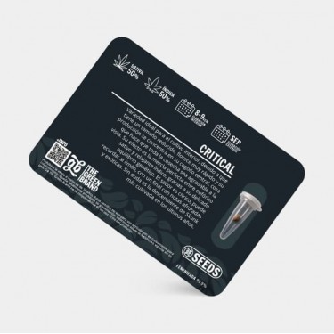 Kit de cultivo interior de 600 W sem armário