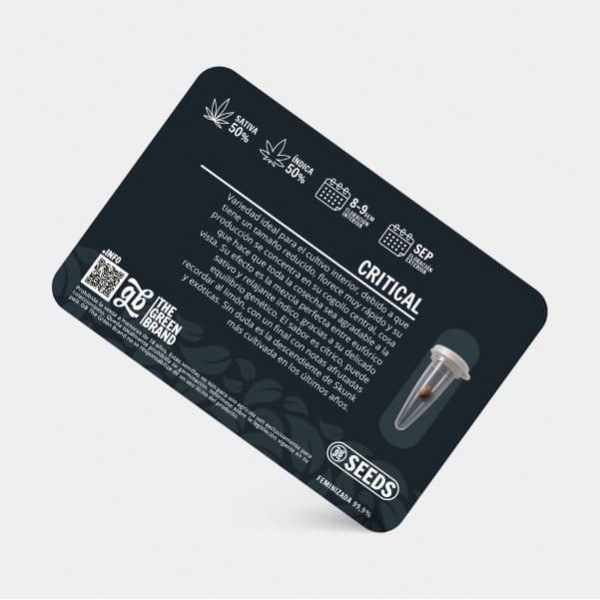 Kit de cultivo interior de 600 W sem armário