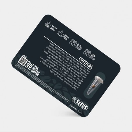 Kit de cultivo interior de 600 W sem armário
