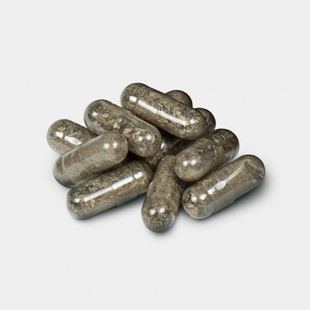 Cápsulas Microdose Cogumelos Psilocybe - GB The Green Brand