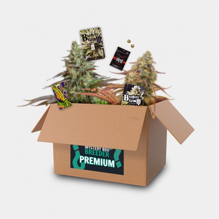 Breeder Box Premium: pack de sementes premium | GB