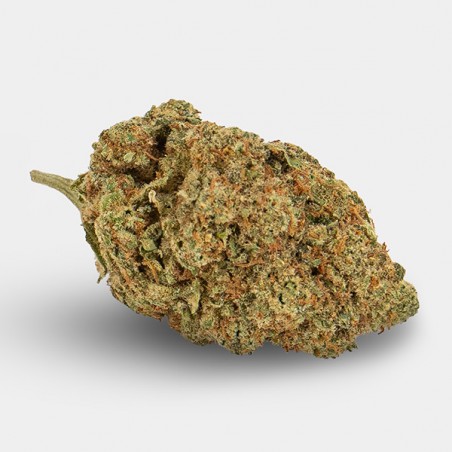 Flores CBD KEMA 'Amnesia Haze' 🌸🌺- GB The Green Brand