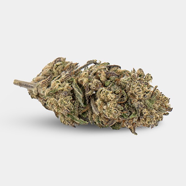 Flores CBD KEMA 'Plutonium' 💥☄️- GB The Green Brand