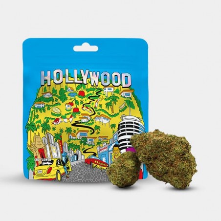 Flores CBD 'Hollywood' Cookies