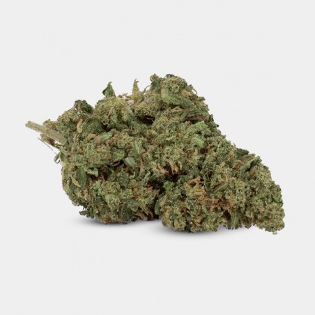 Flores CBD GB Outdoor OG Kush - GB The Green Brand