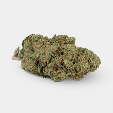 Flores CBD GB Outdoor Moby Dick - GB The Green Brand