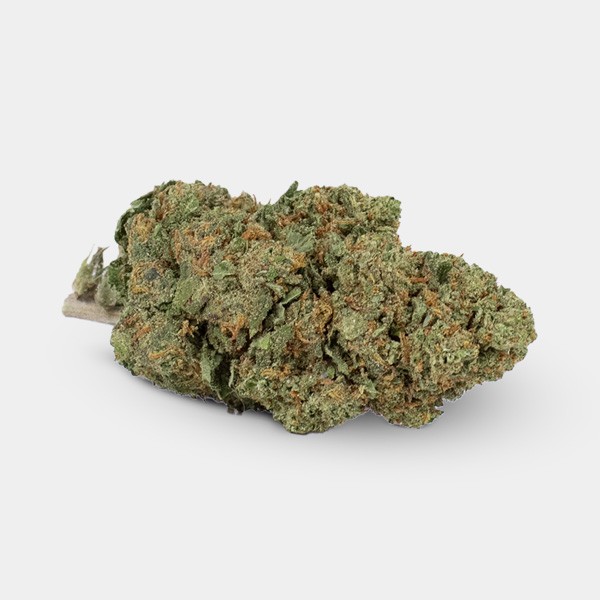 Flores CBD GB Outdoor Moby Dick - GB The Green Brand