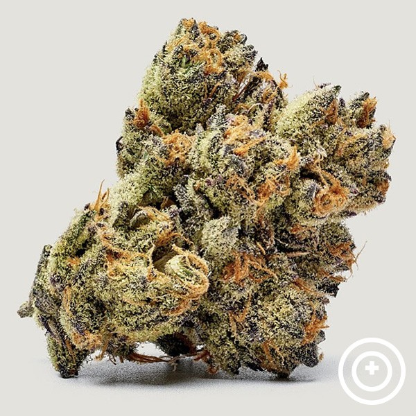 View Honey Runtz Purple City Genetics