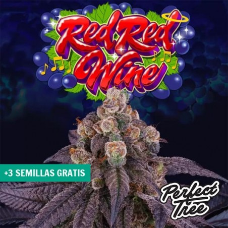 Red Red Wine da Perfect Tree 🍷 【 Com aroma a vinho 🍇】| GB
