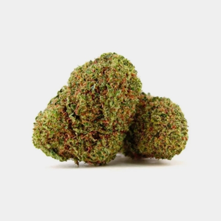 Flores CBD North Thunderfuck Cocori Kush ⚡
