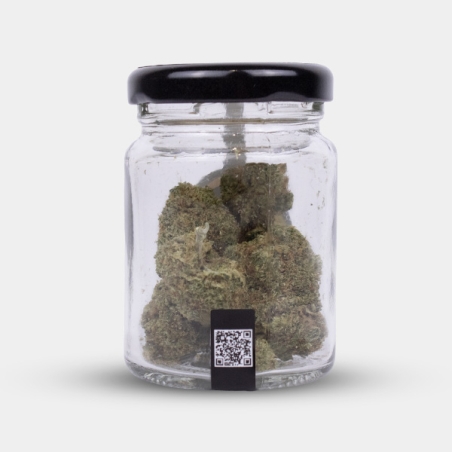 Flores CBD North Thunderfuck Cocori Kush ⚡