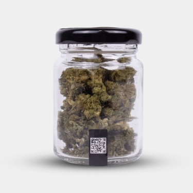 Flores CBD Wedding Cake Cocori Kush 🍰 Doçura em estado puro