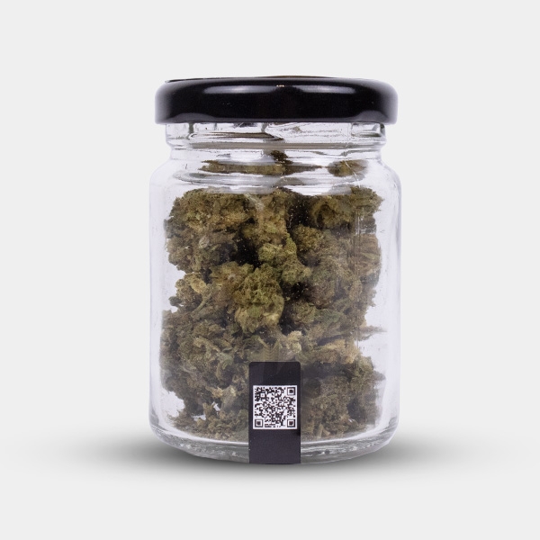 Flores CBD Wedding Cake Cocori Kush 🍰 Doçura em estado puro
