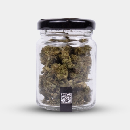 Flores CBD Wedding Cake Cocori Kush 🍰 Doçura em estado puro