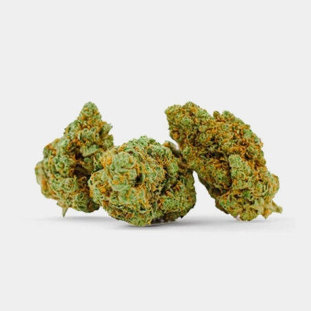 Manley Kush: Flores de CBD californianas com caráter oriental