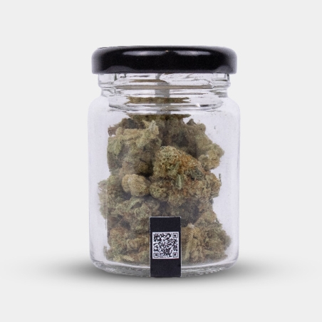 Manley Kush: Flores de CBD californianas com caráter oriental