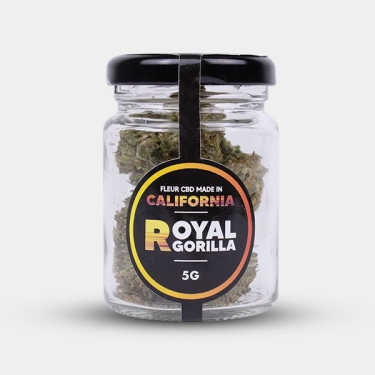 Força e caráter com as flores de CBD Royal Gorilla